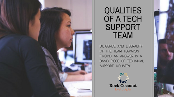 Qualities of a Tech Support Team